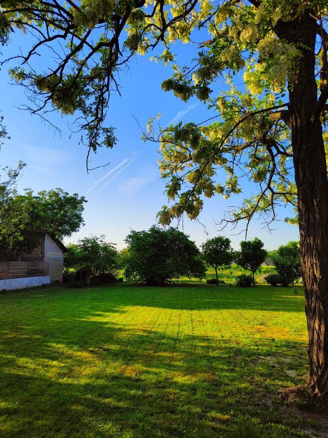 Ethno&Coffee House Tulip Bed & Breakfast Glozan Dış mekan fotoğraf