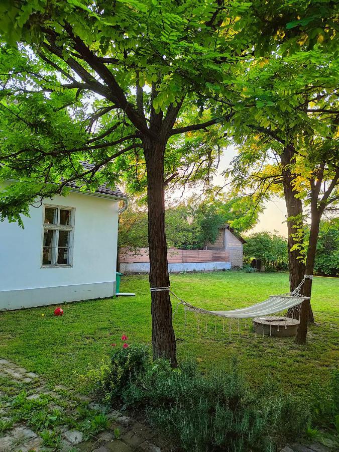 Ethno&Coffee House Tulip Bed & Breakfast Glozan Dış mekan fotoğraf