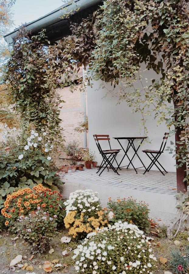 Ethno&Coffee House Tulip Bed & Breakfast Glozan Dış mekan fotoğraf