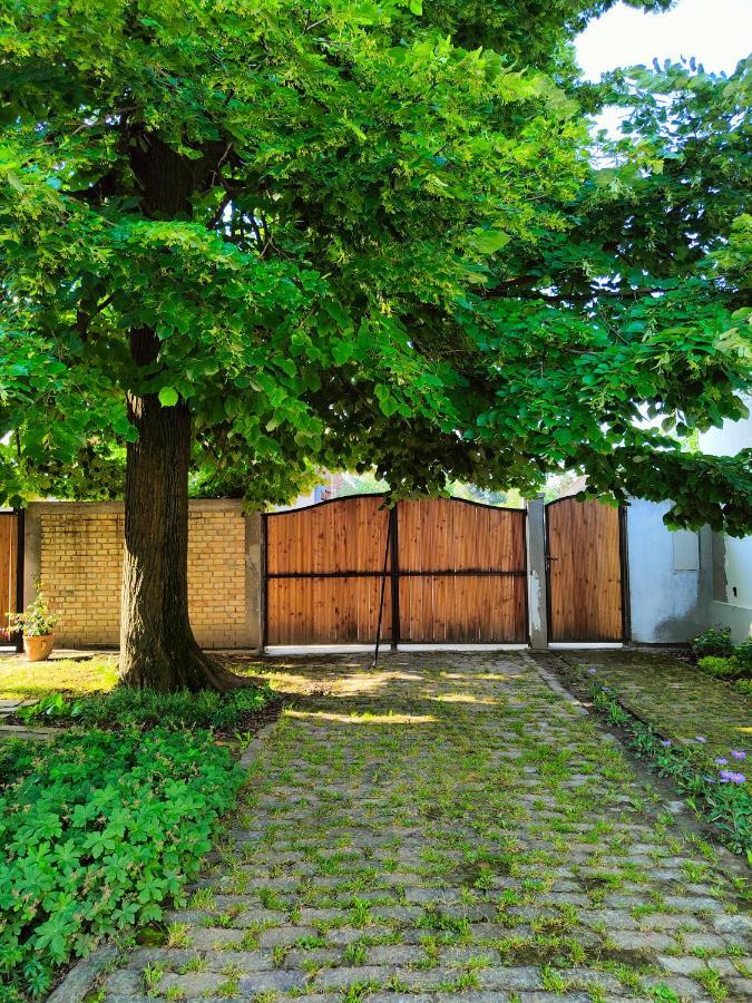 Ethno&Coffee House Tulip Bed & Breakfast Glozan Dış mekan fotoğraf