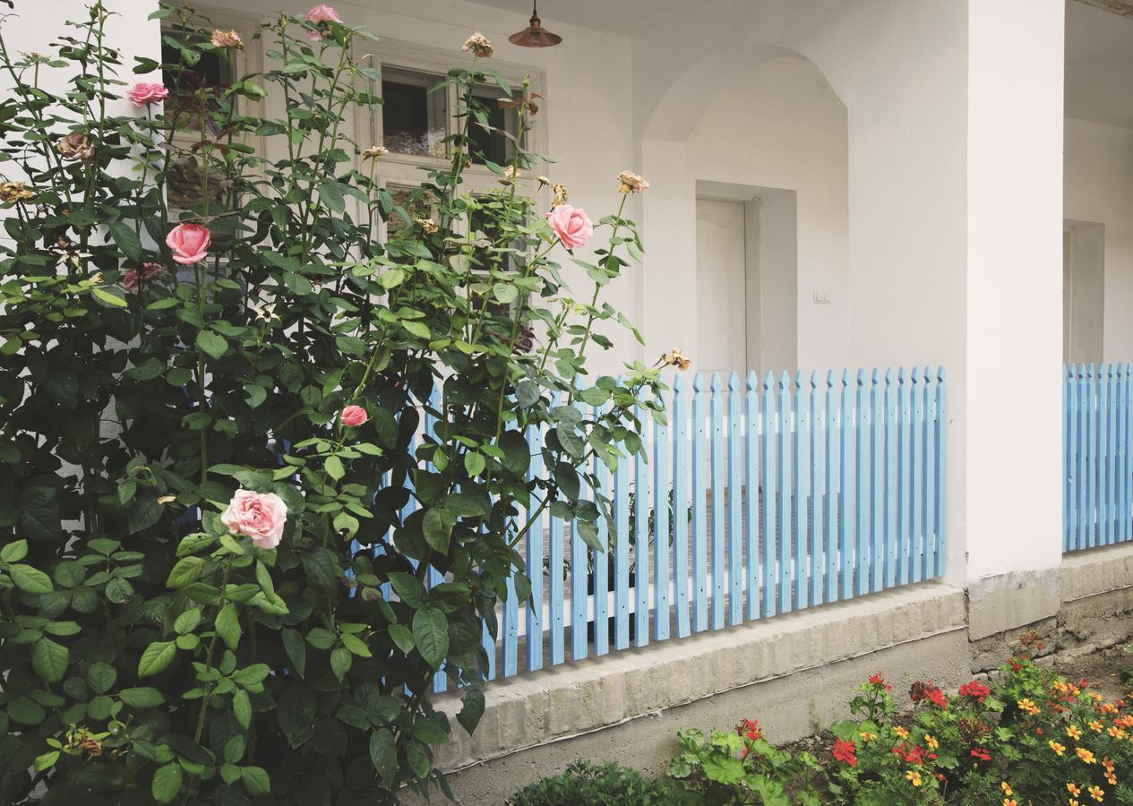Ethno&Coffee House Tulip Bed & Breakfast Glozan Dış mekan fotoğraf